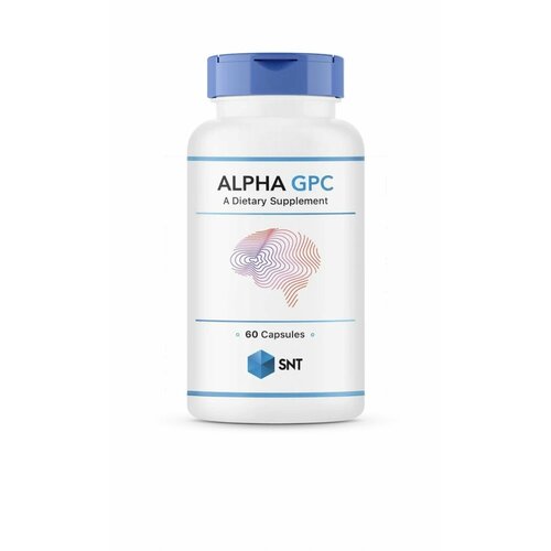      SNT Alpha GPC Cognitive Support 300 mg 60    -     , -  