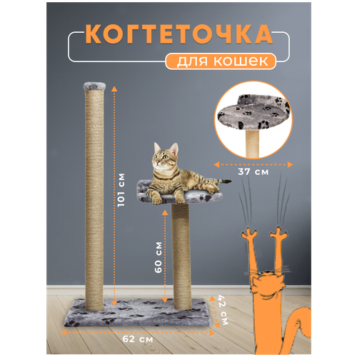 ���� ���������� ������� � ��������. ���������� ������� �������. ���������� �������. ���������� �������/������� �� �����, ������ ������