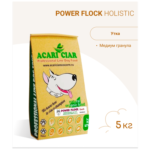      Acari Ciar Power Flock Duck 5  ( )        -     , -,   