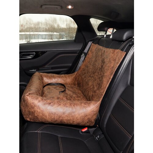 ���� ������������� ����� � ����� ����� � ���� ��� ��������������� ��������, ������ ������