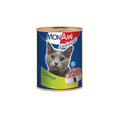  MonAmi          - 0,35   20   -     , -,   