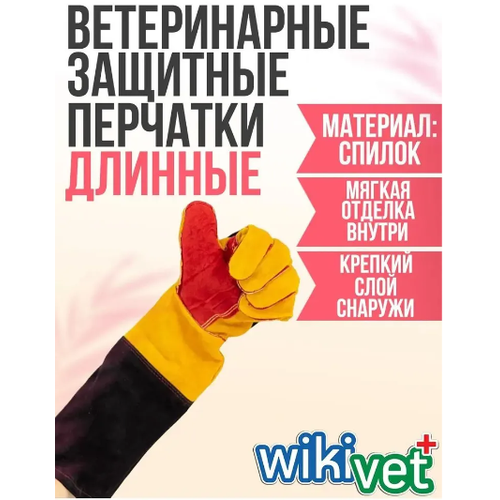 ���� ������������ �������� �������� , �������, ������ ������