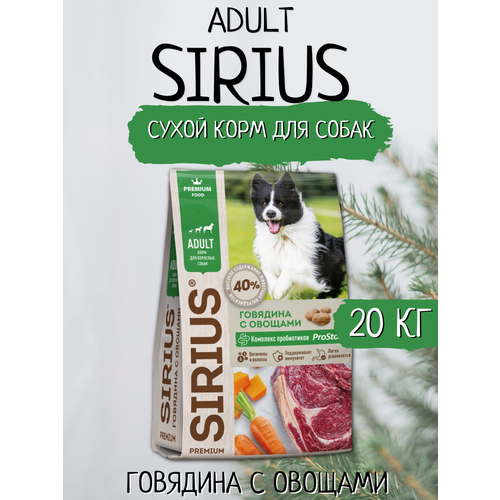       SIRIUS   , 20    -     , -  