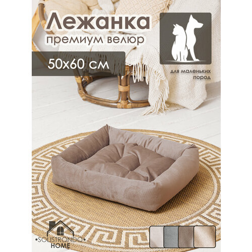 ���� ������� ��� ����� � ����� 50�60. ��. �����, ������ ������