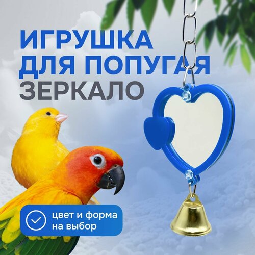 ���� ������� ��� �������� � ���� - �������, ������ ������