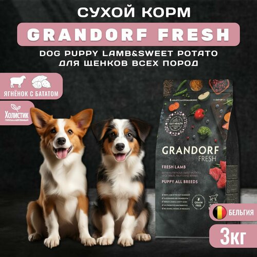    GRANDORF Fresh Dog PUPPY Lamb&Sweet Potato        , 3    -     , -  