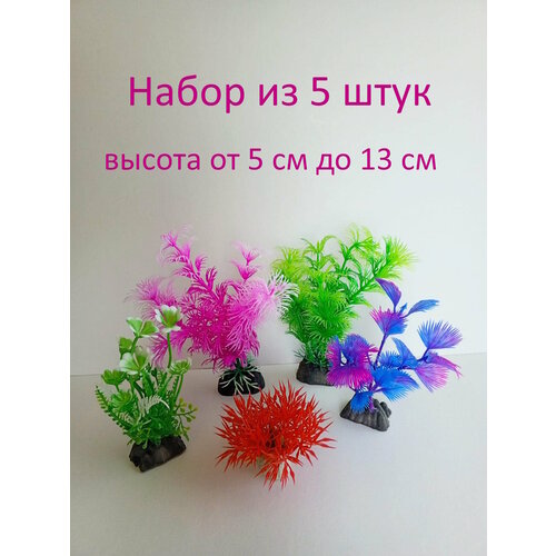 ���� �������� ��� ���������, ������ ������