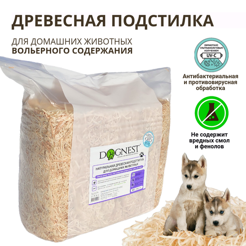 ���� ����������������� ��������� ��������� ��� �������� �������� 