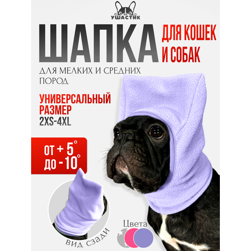 ���� �����-���� ������� ��� ��������, ������ ������